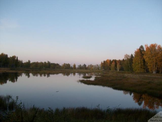 Фотография № 41793