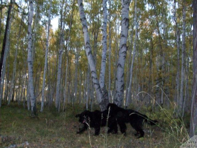 Фотография № 41794