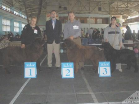 Фотография № 41811