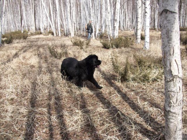 Фотография № 41832