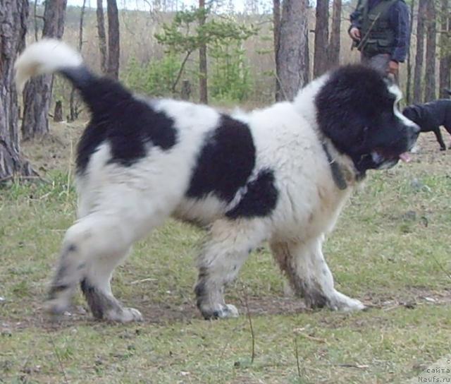 Фото: Наталья Поведская