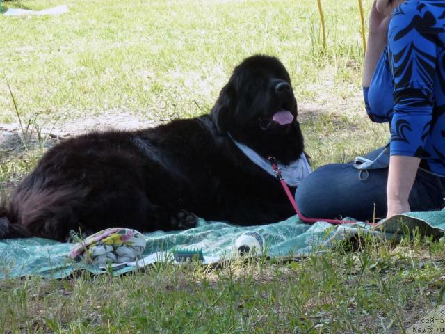 Фотография № 41940