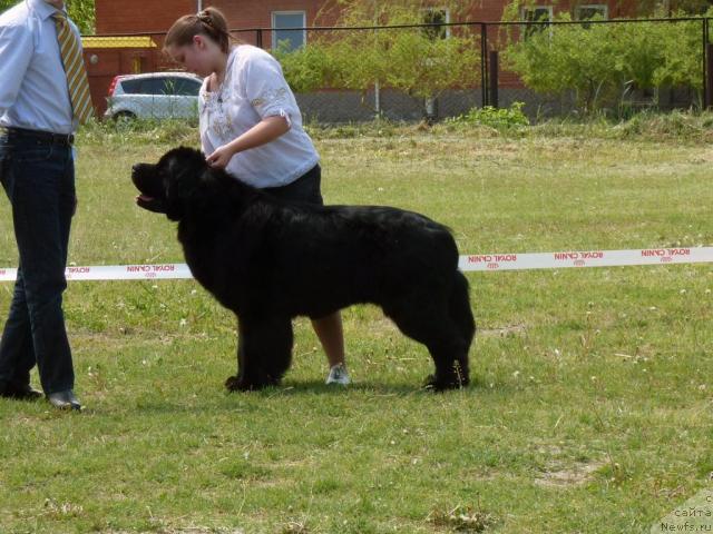 Фотография № 41942