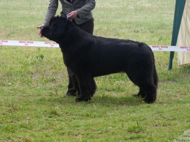 Фотография № 41955