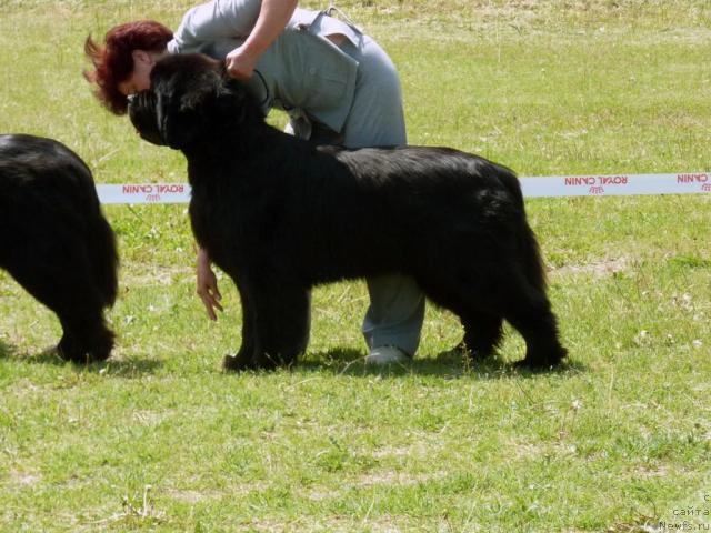 Фотография № 41959