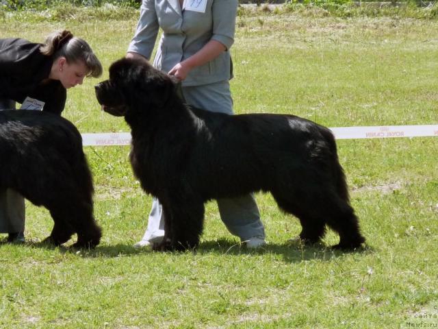 Фотография № 41960