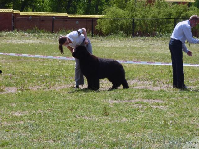 Фотография № 41965