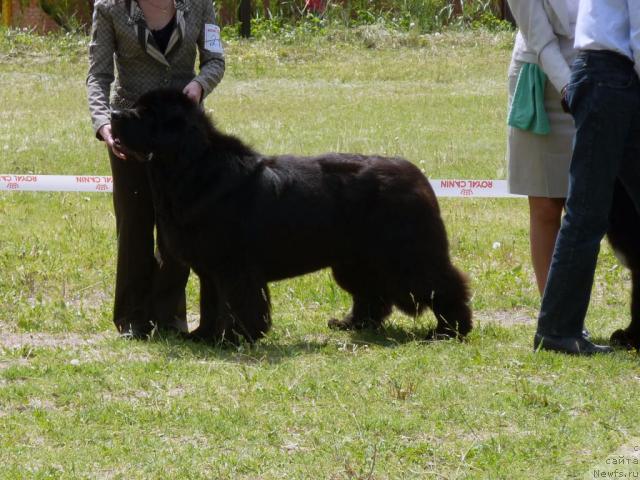 Фотография № 41966