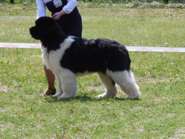 Фотография № 41968