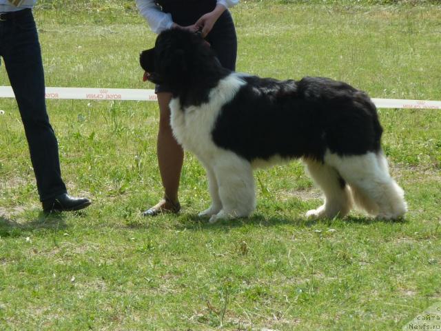 Фотография № 41969