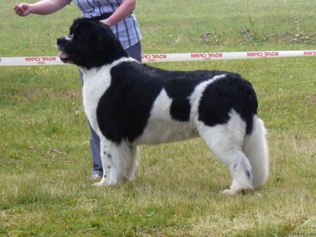 Фотография № 41972