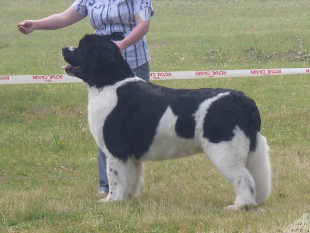 Фотография № 41973