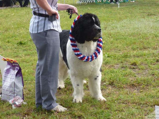 Фотография № 41974