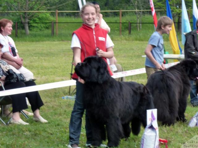 Фотография № 41977