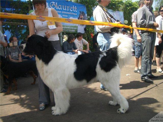 Фотография № 42001