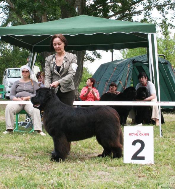 Фотография № 42093