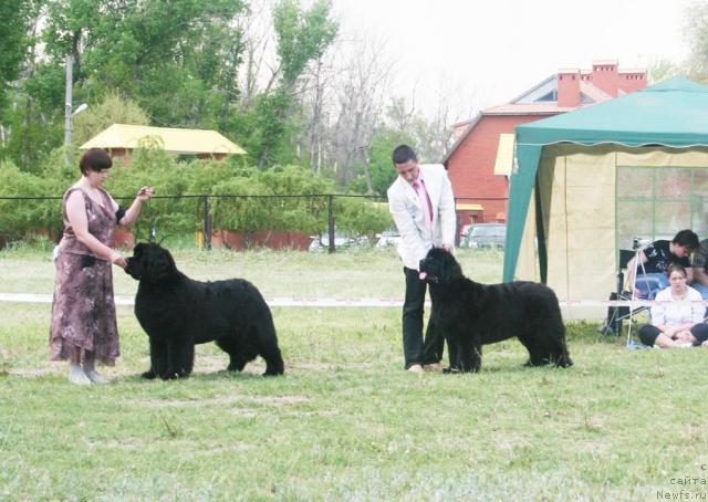 Фотография № 42094