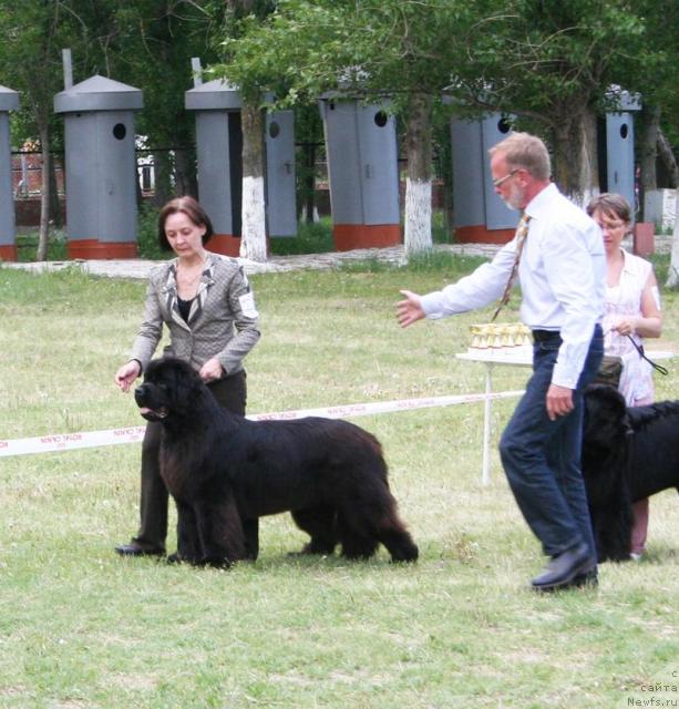 Фотография № 42100