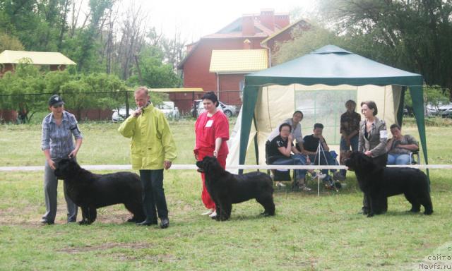 Фотография № 42101