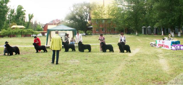 Фотография № 42107