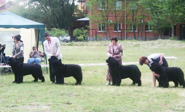 Фотография № 42108