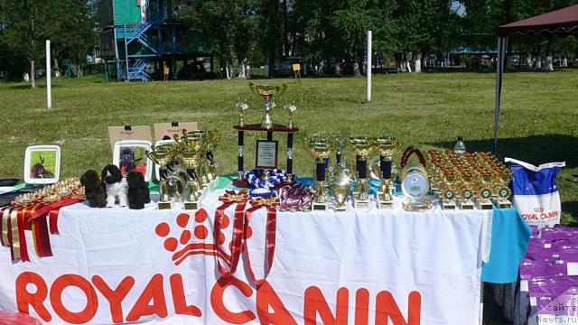 Фотография № 42111