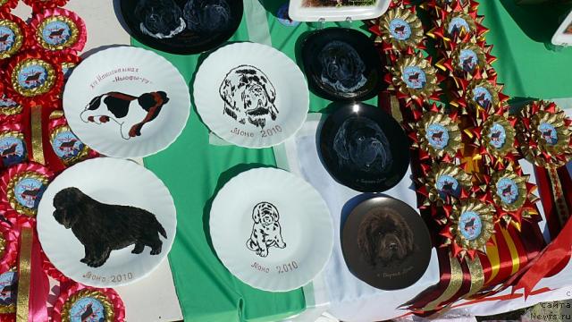 Фотография № 42113