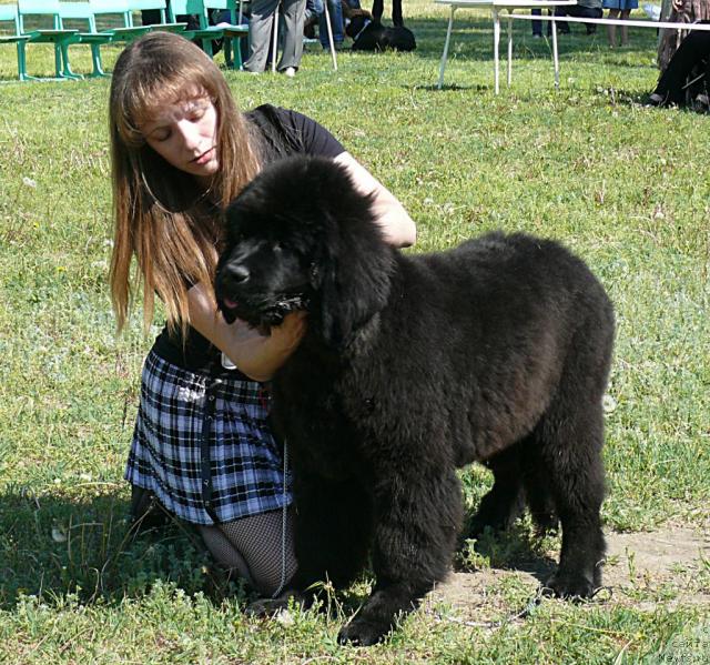 Фотография № 42118