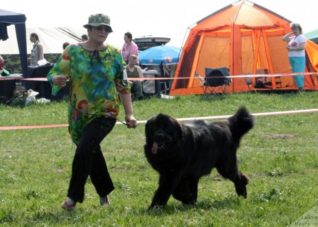 Фотография № 42120