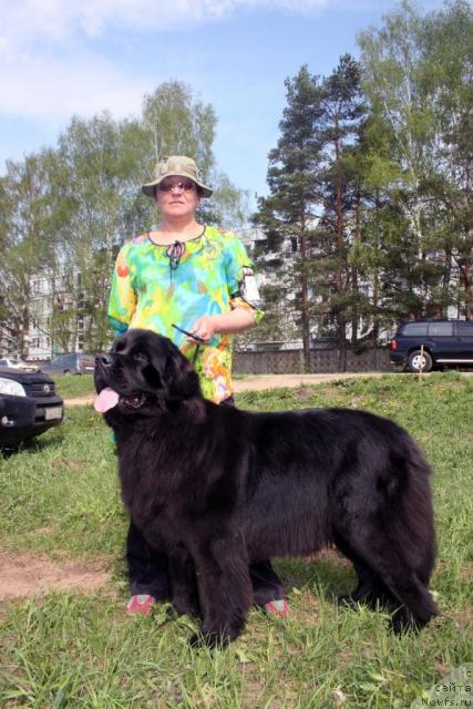 Фотография № 42123