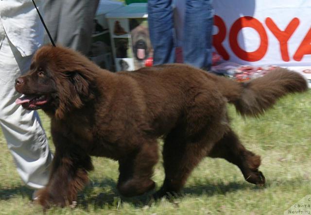 Фотография № 42131