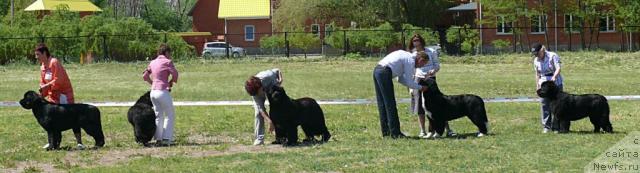 Фотография № 42139