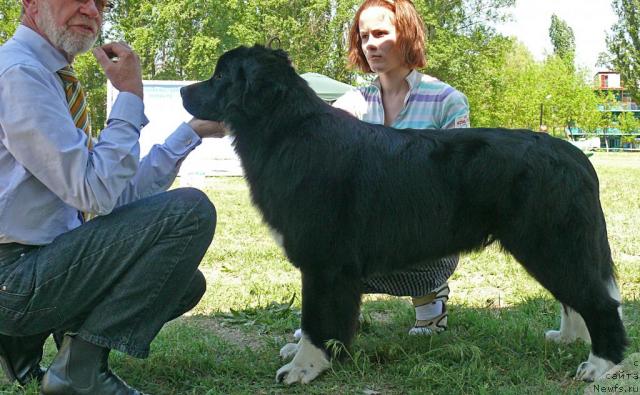 Фотография № 42147