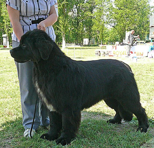 Фотография № 42148