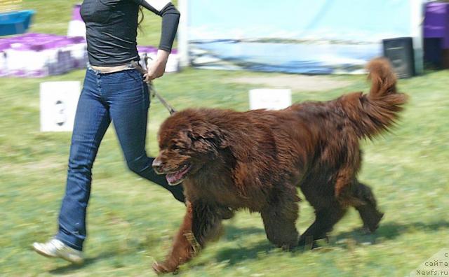 Фотография № 42151