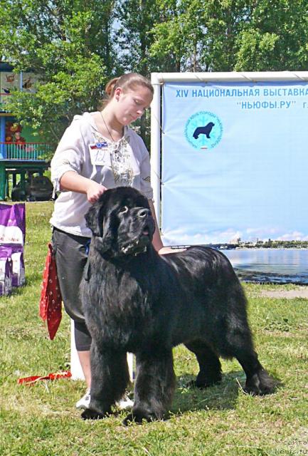 Фотография № 42155