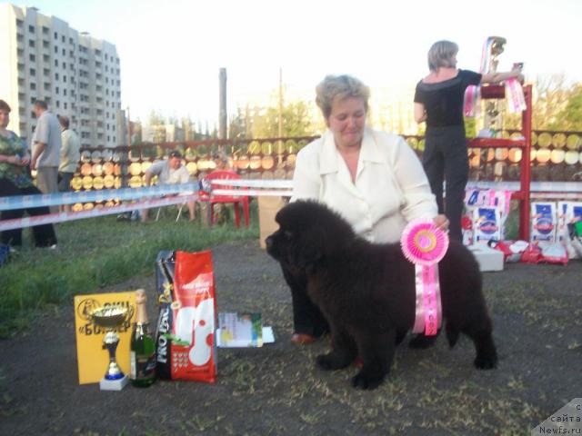 Фото: Светлана Смирнова