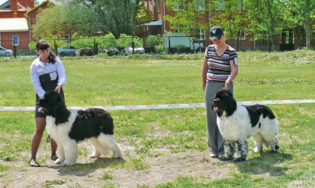 Фотография № 42188