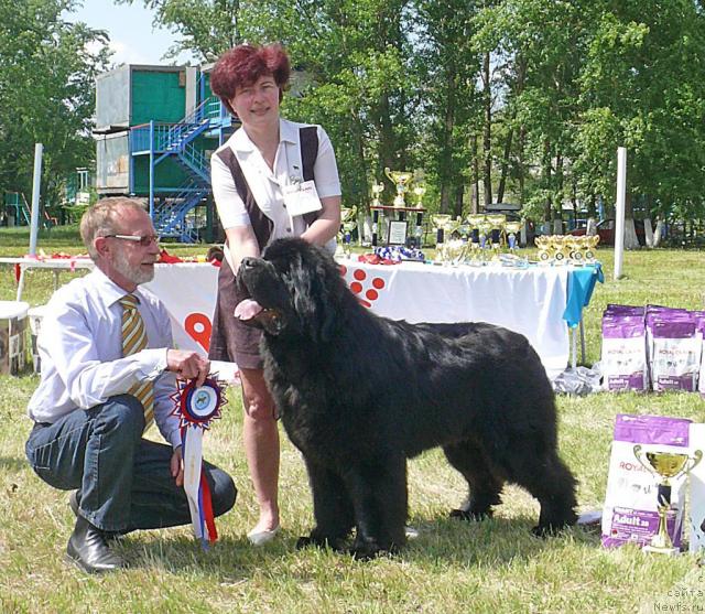 Фотография № 42189