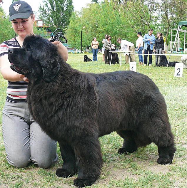 Фотография № 42193