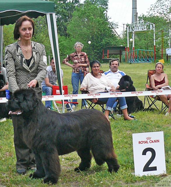 Фотография № 42195