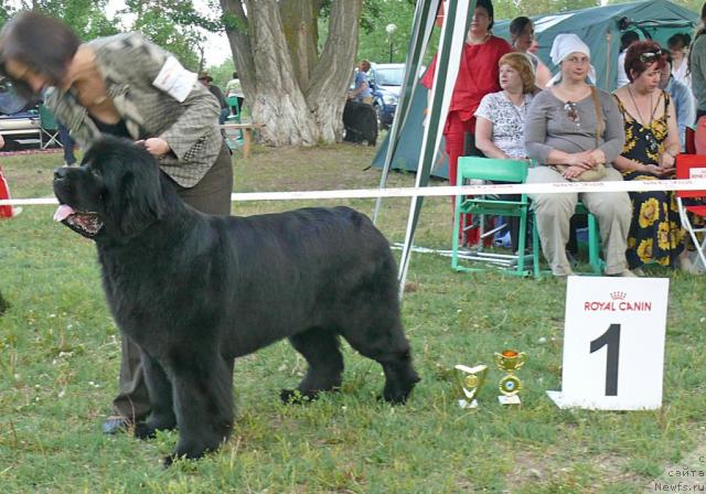 Фотография № 42202