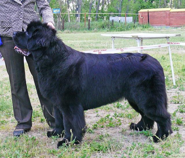 Фотография № 42203