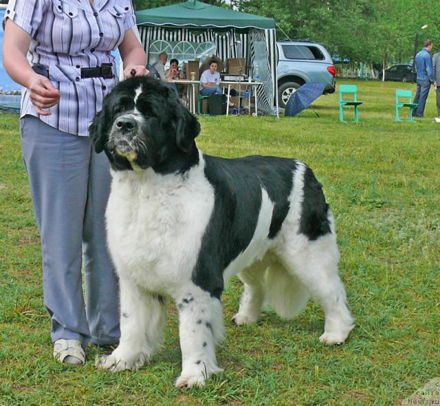 Фотография № 42217