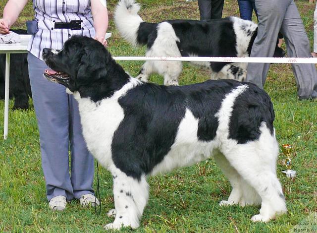 Фотография № 42218