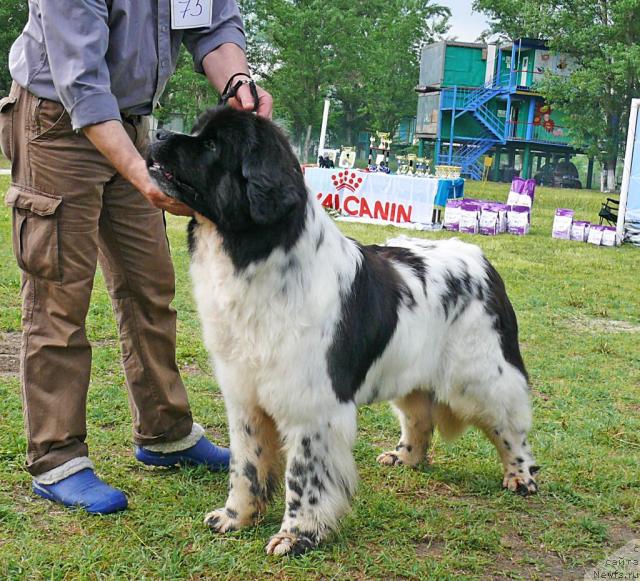 Фотография № 42219