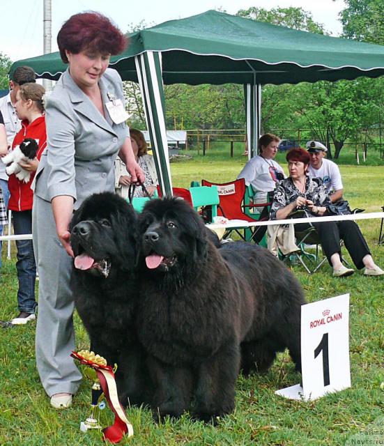 Фотография № 42224