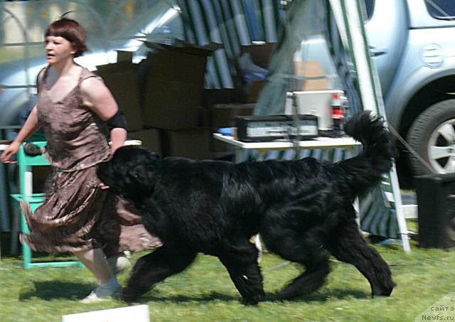 Фотография № 42226