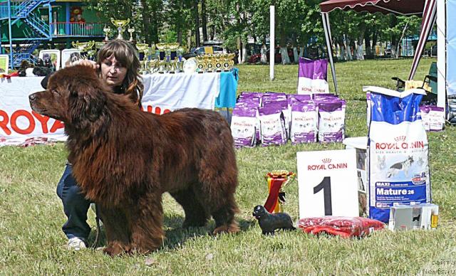 Фотография № 42227