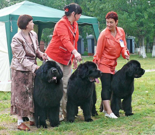 Фотография № 42231